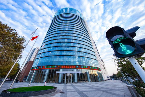 聚焦河南自貿五周年 自貿區政策賦能，鄭商所將新設商品交易中心